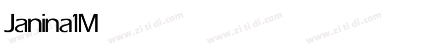 Janina1 Medium字体转换